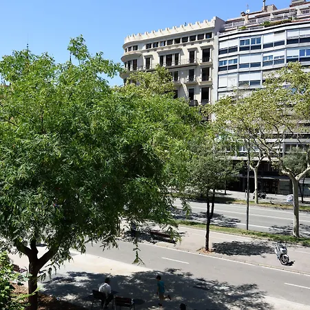 Nocleg ze śniadaniem Ally's Bed&breakfast, 2*